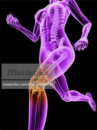 3d rendered illustration of a running female skeleton with highlighted knee joint