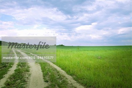 field of grass with road and cloud sky