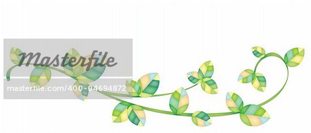 a group of leaves in a white background