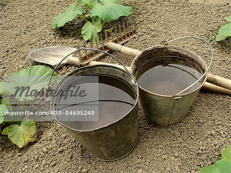 two buckets with water and gardening tools on the vegetable bed