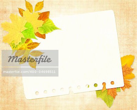 Background - paper sheet and autumn leafs