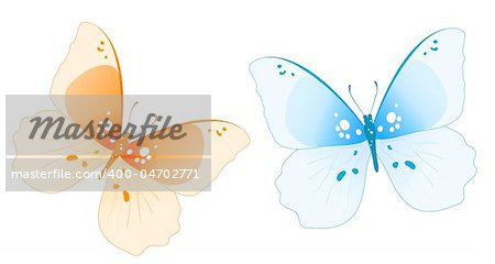 drawing of beautiful color butterfly and blue butterfly