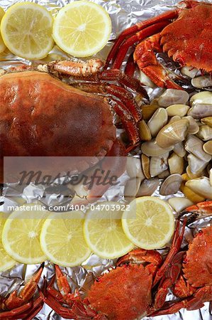 Crabs tellin clams and lemon seafood still life