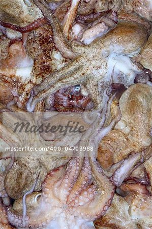 background octopus texture catch on the mediterranean sea market