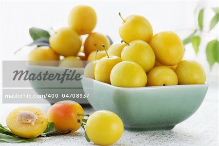 Two plates of the yellow damson plum