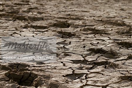 Cracked by the heat long lifeless soil