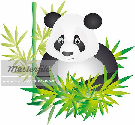 Bear panda mother and young and bamboo leaves isolated on a white