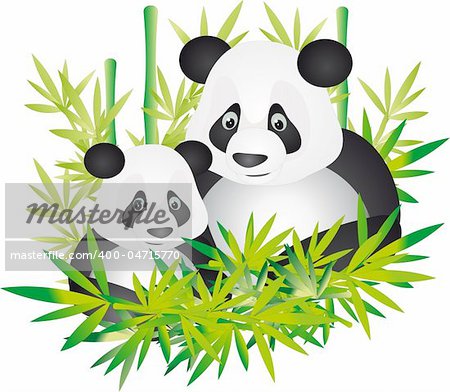 Bear panda and bamboo leaves isolated on a white