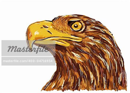 hand painted eagle head on white background - illustration