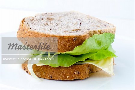 Fresh vege cheese sandwich with brown bread