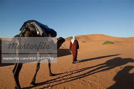 Picture of camel and man walking through the desert