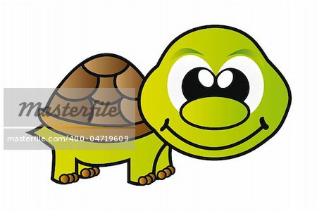 nice illustration - green young turtle isolated on white background