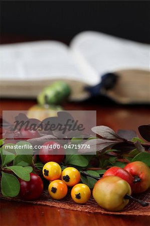 Autumn arrangement and the Bible in background. Shallow dof
