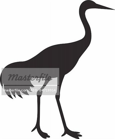 Bird vector. To see similar, please VISIT MY PORTFOLIO