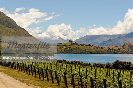 Landscapes of New Zealand