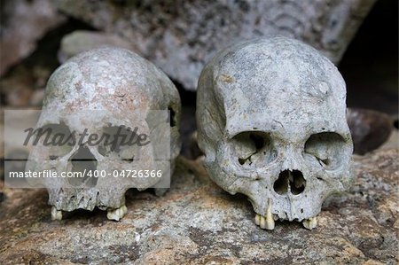 Human skulls in the Tana Toraja area in Sulawesi