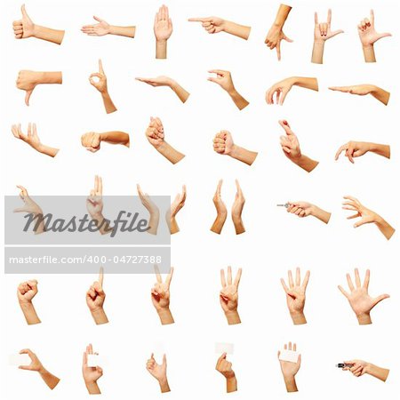 Set of many different hands over white background