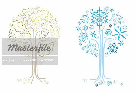 The same vector oak tree in different seasons (summer and winter)