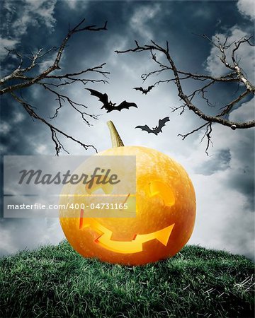 halloween pumpkin on field. Dark illustration