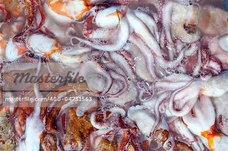 Octopus catch pattern from mediterranean sea fish market