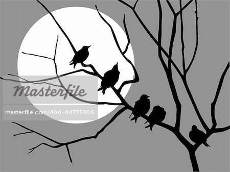 vector  illustration migrating starling on branch tree