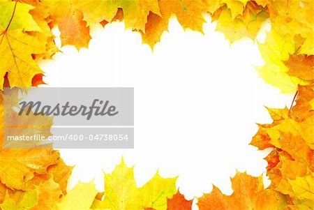 Frame with colored autumn maple leaves - white background