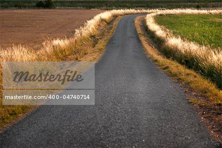 Country road winding across a field in summer