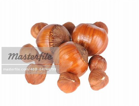 hazelnuts  isolated on white background