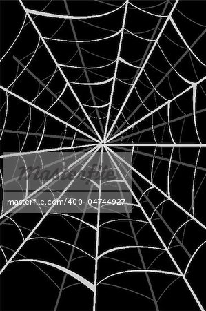 illustration of spider web