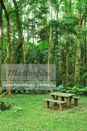 picnic place in forest