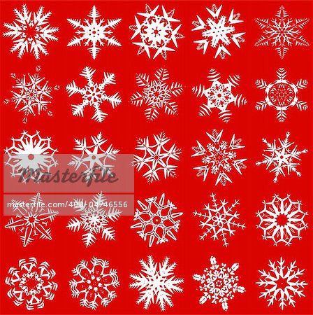 Snowflakes, vector snowflakes on a white background