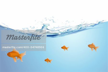 illustration of gold fishing swimming in water