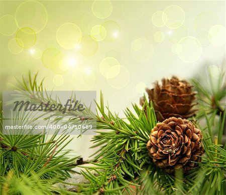 Pine cones on branches with holiday background