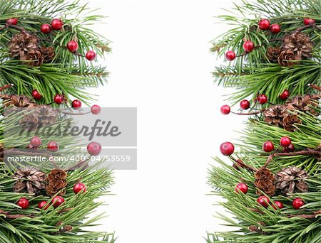 Christmas frame with cones, berries and pine branches isolated on white background. Shallow dof