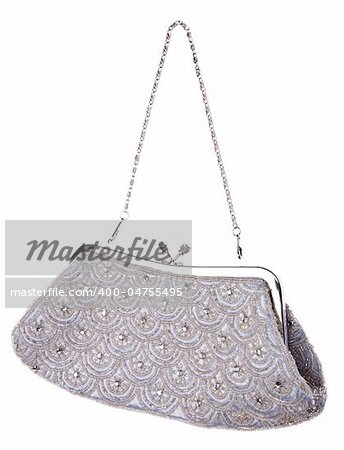 Fashionable Purse Handbag Isolated on White with a Clipping Path