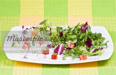 Various salad leaves with tomato, radish and cucumber