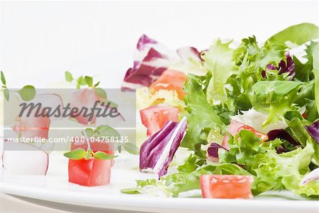 Various salad leaves with tomato, radish and cucumber