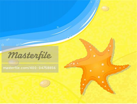 fishstar on sand near sea. ector illustration