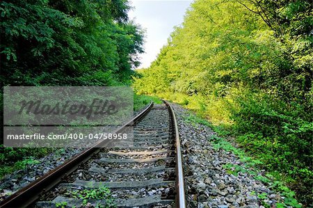 Railway line passing through the quiet forest