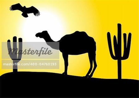 vector illustration of desert with camel, eagle and cacti