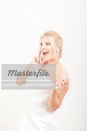 Beautiful bride in white wedding dress and a veil