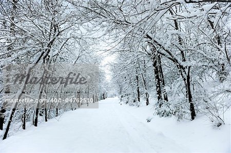 Winter road covered with fresh snow