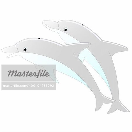 Vector illustration of two dolphins on an isolated white background