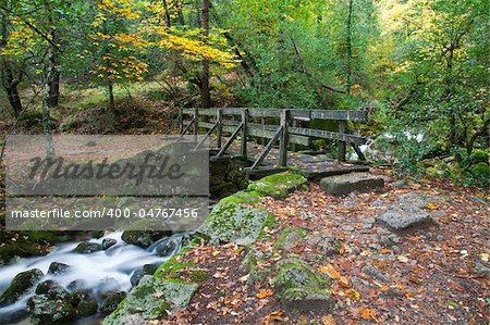 Beautiful view of a small wooden bridge over a river in the woods in Geres National Park, in the north of Portugal.