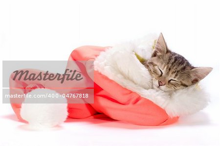 the  kitten sleeping in the Santa's cap
