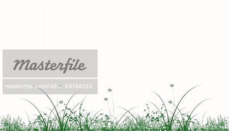 Green grass isolated on white - vector