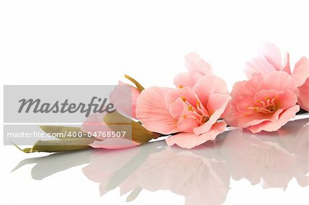 spa zen and wellness concept isolated on white background