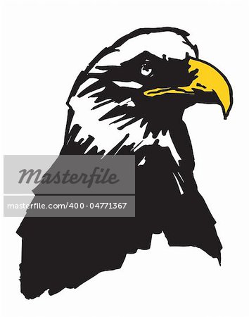 Black eagle head on the white background.