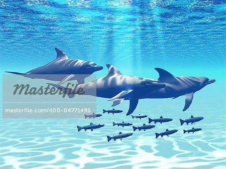 Three Bottlenose Dolphins swim with a group of reef fish.