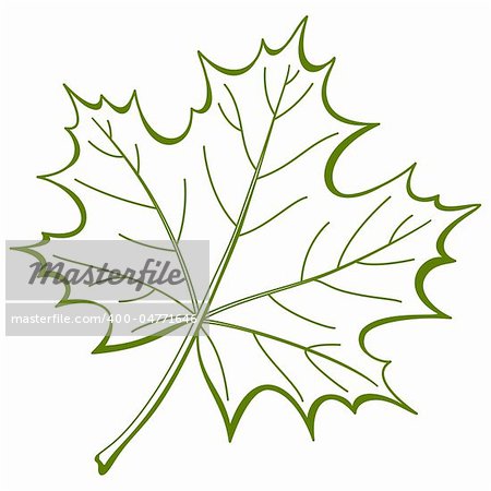 Leaf of a maple, nature symbol, monochrome vector, isolated pictogram